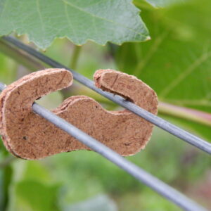 Abbildung ähnlich - Holzklammern - Aufbinden - Kessler Zell Weinbautechnik
