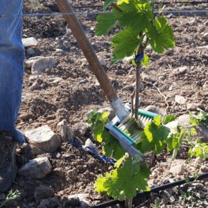 Abbildung ähnlich - Stammputzer - Zubehör - Kessler Zell Weinbautechnik